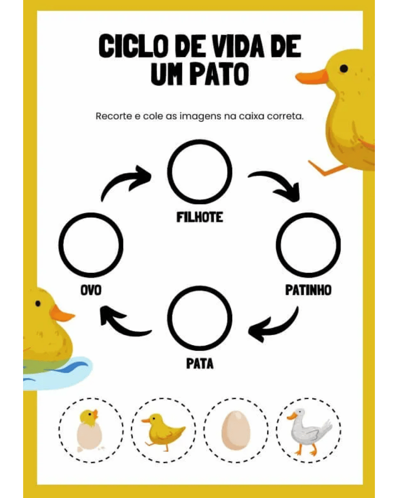 Atividade 5